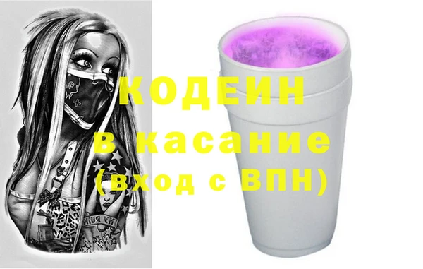 индика Богданович