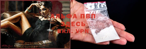 стафф Белокуриха