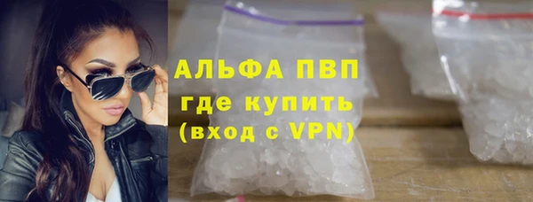 индика Богданович