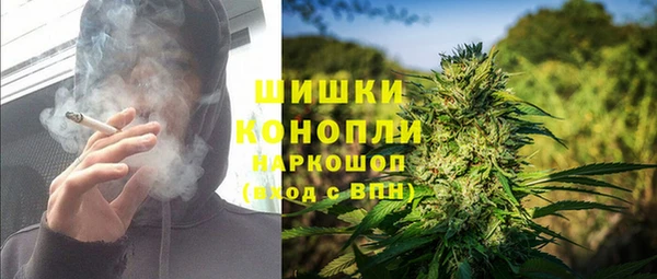 индика Богданович