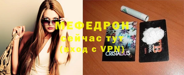 индика Богданович