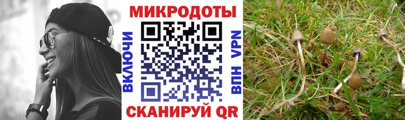 Галлюциногенные грибы MAGIC MUSHROOMS  Сердобск 