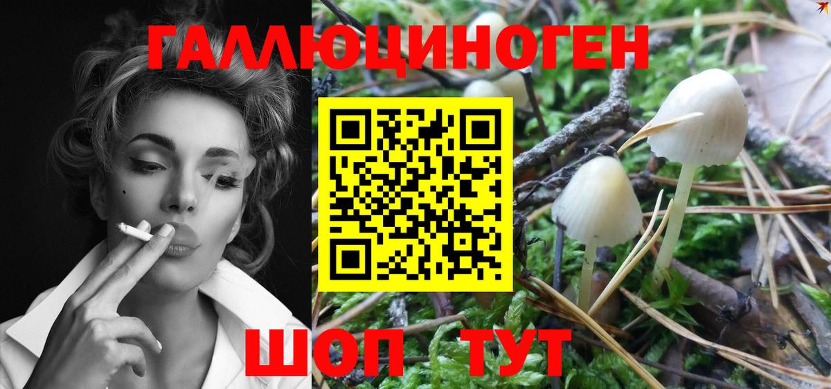 Псилоцибиновые грибы Magic Shrooms Сердобск
